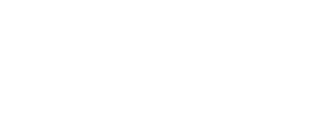Logo Vonix